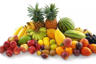 fun肆嗨一夏，暑我最快樂——食品銷售的盛夏狂歡